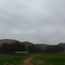 삼화목장 Daum카페