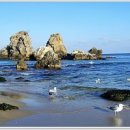 바다풍경 이미지