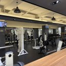 고고 휘트니스 이미지