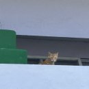 주영선국수 이미지