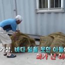 사노라면 - 부천시 오정구 오정로 253 | 사노라면