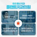 플랜트치과의원 | 무삭제 라미네이트 비용 후기로 알아보는 시흥플랜트치과의원