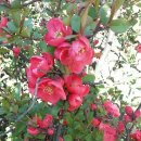 노인스포츠지도사 자격증반 이미지