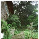 대머리민박 이미지