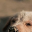 가온동물병원 이미지