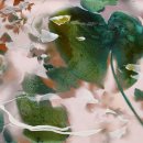 윤정원수학 이미지