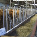 대산축산농장 이미지