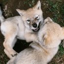 Fun&Joy PC ZONE 이미지