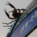 전의농협 하나로마트 이미지