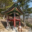 충화 세양사 Daum카페
