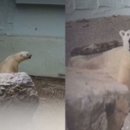 우리나라 이미지