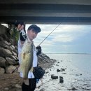 천수만마린