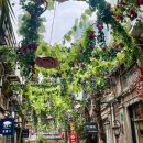 차고치는집 | [상하이 4박5일] 여행 3일차 우캉맨션, 예원 사진...총정리/ 예상하이, 하프어드링크 웨이팅 및 후기