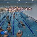 노블스위밍랩 장유율하점 이미지