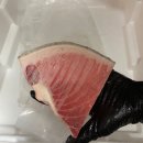 홈마카세 | 튜나타임 냉동참치로 신년파티 후기