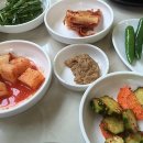 굴바다 이미지