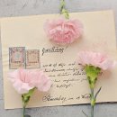 서머힐 유치원 이미지