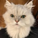 와와민박 이미지