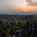 석림4로 이미지