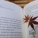 놀다그리다 이미지