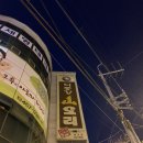 낙동강산오리 이미지