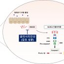 감초한의원 이미지