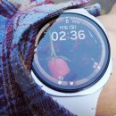 사방하천 | 58년 만에 개방했다는 서울대 안양 수목원, 입소문 크게 나서 가봤어요