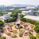 장미산업 이미지