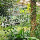 양주열린숲어린이집 | 양주 &#39;오랑주리&#39; 마장호수 인근 대형 식물원 카페 가격/솔직후기