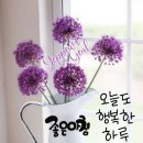 하루하루