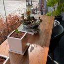 흙과나무 이미지