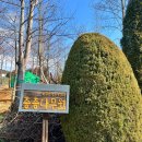 전남 광주 근교 나주 가볼만한곳 산림자원연구소 겨울 여행코스