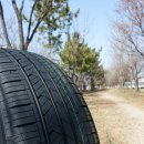 더타이어샵 고잔점 이미지