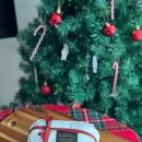 김코치 | 아이간식 식단관리에 좋은 100% 통밀빵 김코치빵 후기