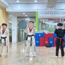 합성태권도장 이미지