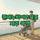세븐일레븐목포산정자유점 | 퀸제누비아호2 가격부터 다인침대까지! 목포-제주 배편 완벽 가이드