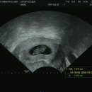 윤은숙산부인과의원 이미지