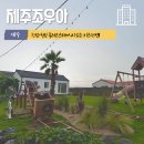 제주 조우아 이미지