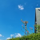 해울우렁쌈밥 이미지