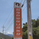 청정미나리영농조합법인 이미지