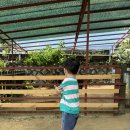 말꼬지농장 이미지