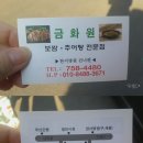 토금화원