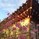 차마실산stay 이미지