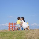 전북투어패스 사용후기 - 김제(미즈노씨네 트리하우스, 팔봉도예, 벽골제)