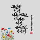 무심히 살던 나 이미지
