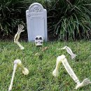 개성시대 이미지