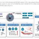 잠실미소약국 이미지