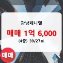 제니텔 네이버블로그