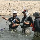 대현다슬기 이미지