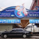 선애수산 | [제주] 동문시장에서 저렴하게 회먹기/3월의 제주여행